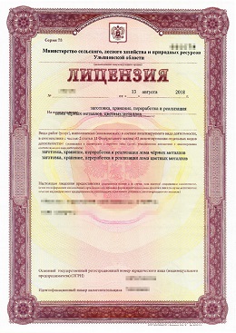 Лицензия Воронеж ЛомовЪ 3